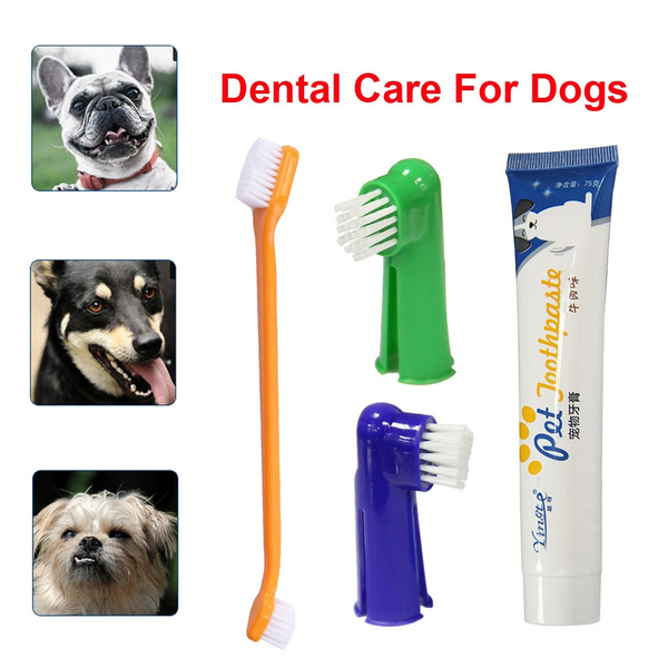 dog brush and toothpaste