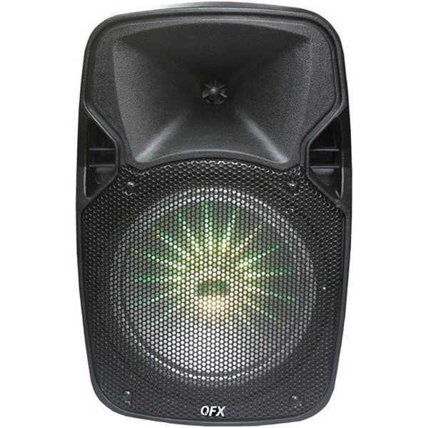 QFX RA48910 8 in. Rechargeable Bluetooth Party Speaker | Wish