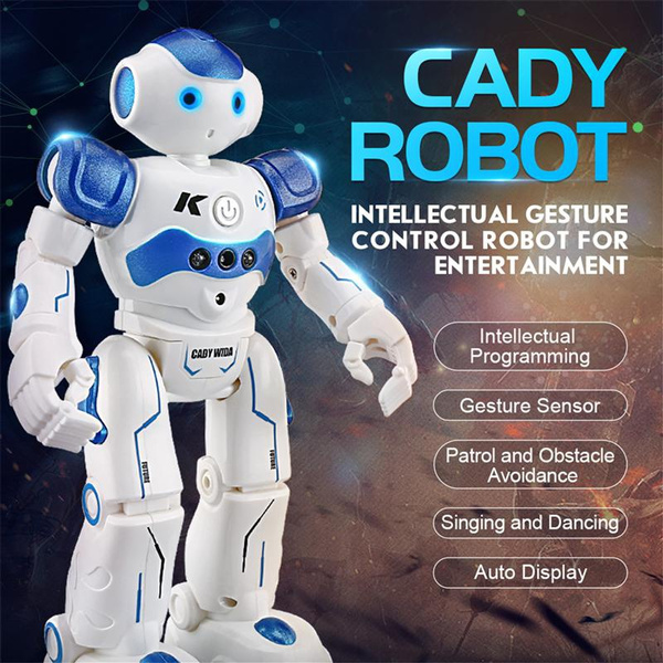 LEORY RC Robot Intelligent Programming Remote Control Robotica Toy