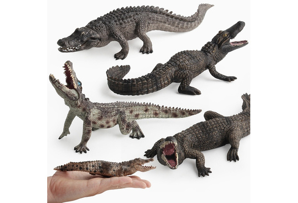 Simulation Animals Life Cycle Animals Growth Cycle Figures Figurines Toys B9H3