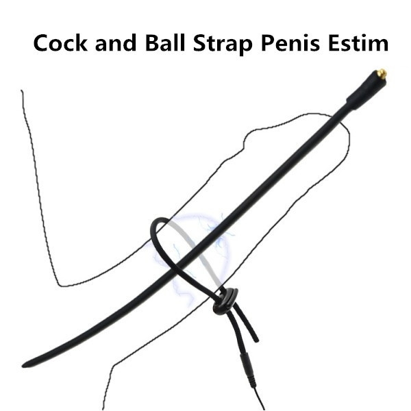 Cock and Ball Strap with Penis Plug Estim Accessories
