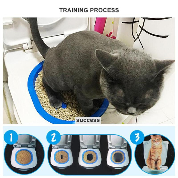 kitten toilet training kit