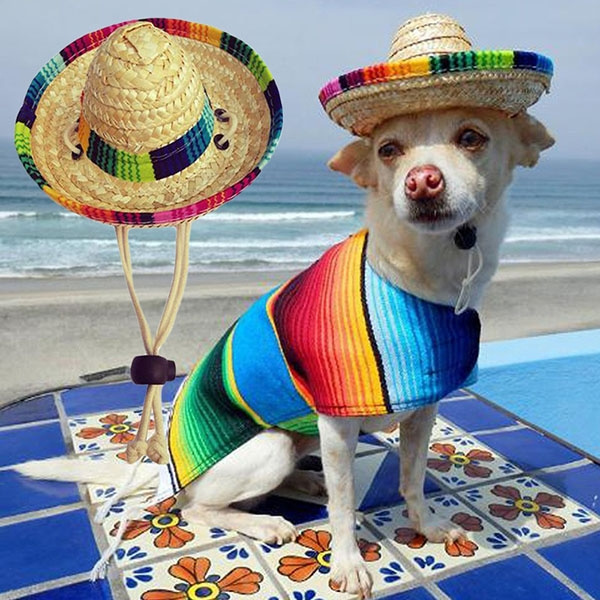 Mini Pet Dogs Straw Hat Sombrero Cat Sun Hat Beach Party Straw Hats Dogs Hat