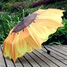 rainumbrella, Women's Fashion & Accessories, Umbrella, sunumbrella