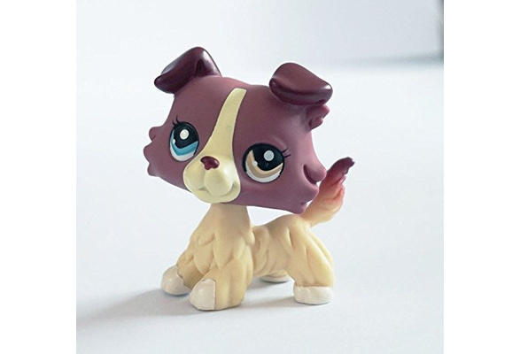 lps collie 1262