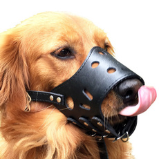 cheapmaskdog, Medium, goldenretrieverdog, petmuzzle