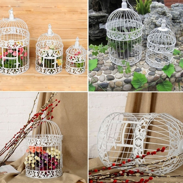 wish bird cages