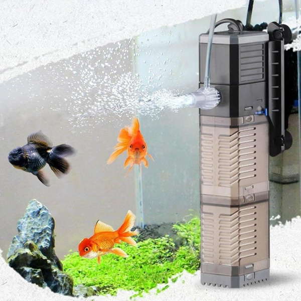 wish fish tank