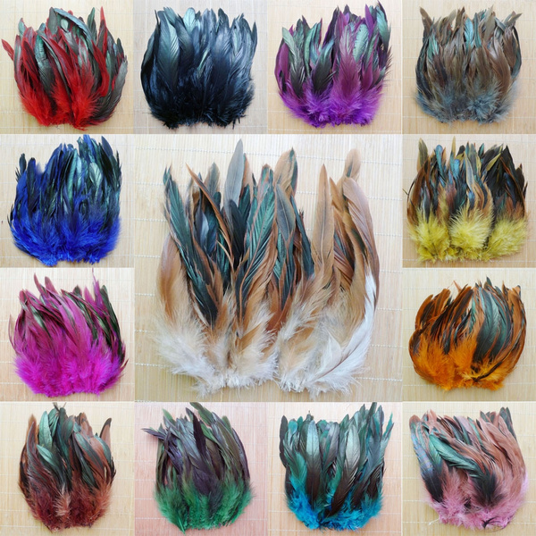 Beautiful, rainbow, Christmas, roosterfeather
