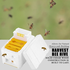 Box, King, beekeeping, beekeepingequipment