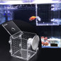 thumbnail - 6