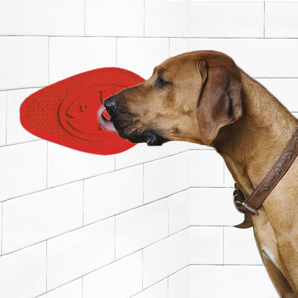 Dog peanut outlet butter shower