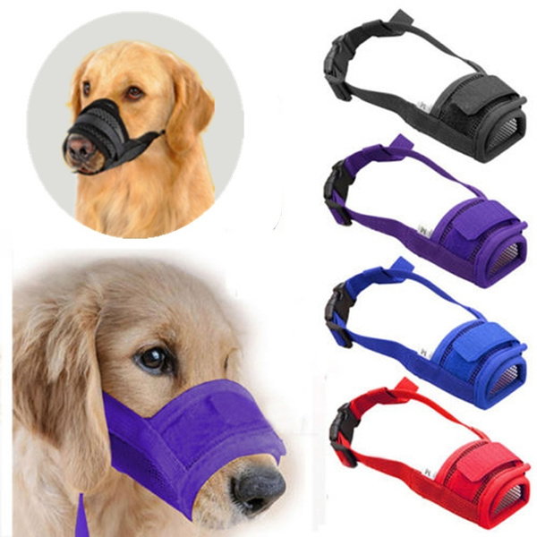 muzzle to stop chewing