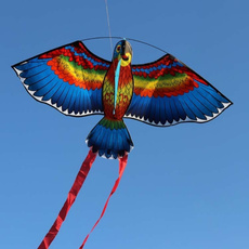 Funny, Exterior, kite, Flying