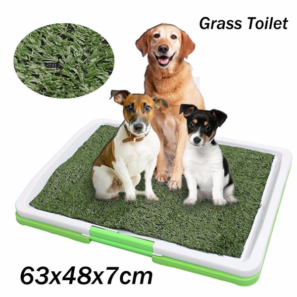 pet training grass