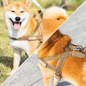 thumbnail - 8