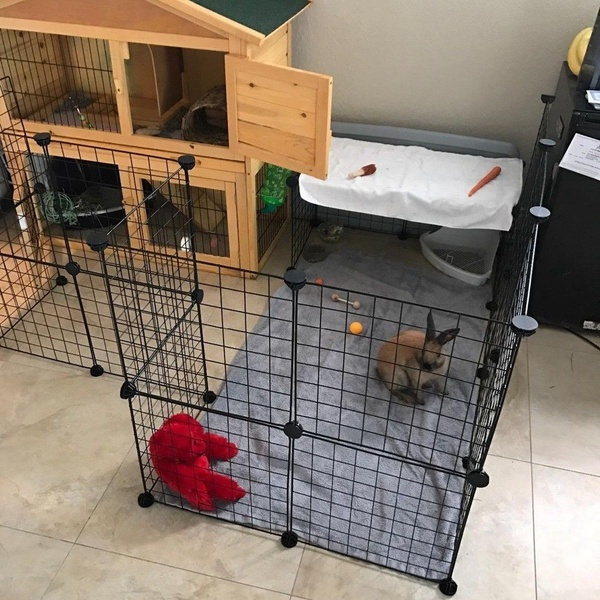 best indoor rabbit playpen