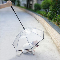 transparentumbrella, walking, Fashion, Umbrella