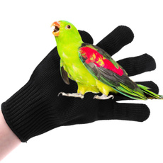protectiveglove, Parrot, Gloves, safetyprotectiveglove