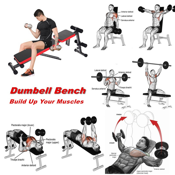 weight bench wish