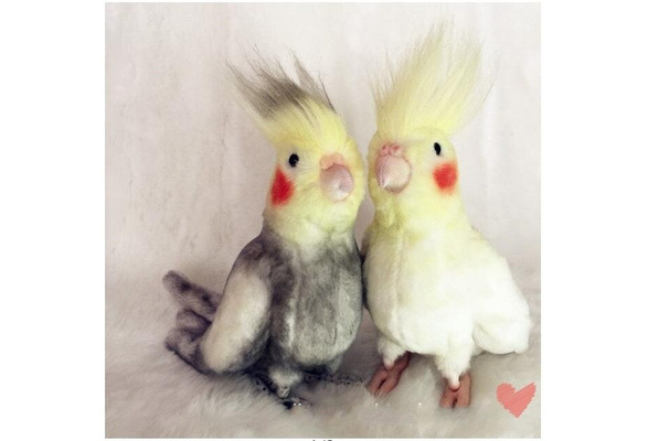 cute cockatiel plush