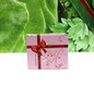 thumbnail - 2
