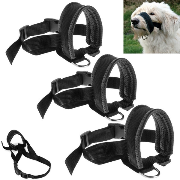 head halter leash