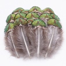 peacock, Natural, peacockfeather, decoration