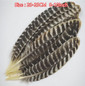 thumbnail - 1
