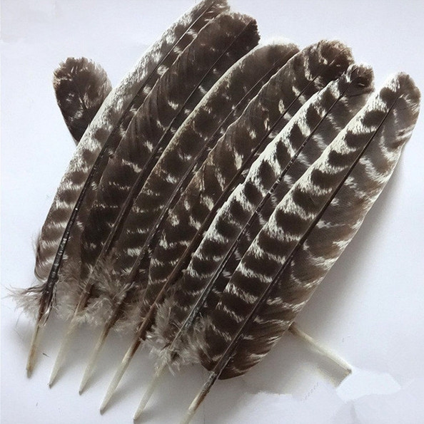 Turkey Feathers, 8-12