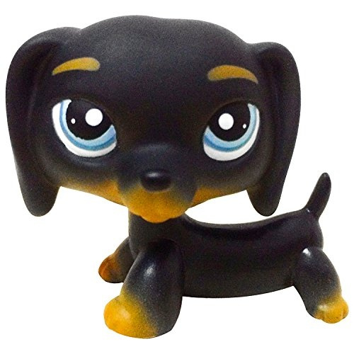 wish littlest pet shop