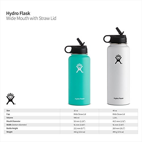 Hydro Flask Vacuum Insulated Stainless 