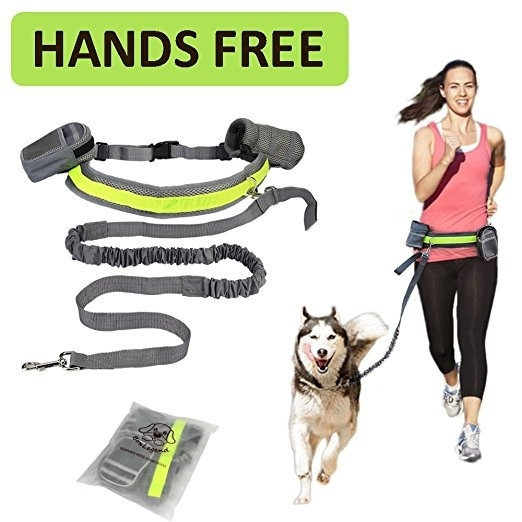 dog running leash waist