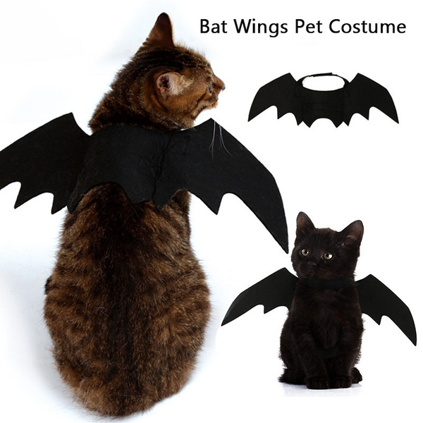 dog bat wings harness