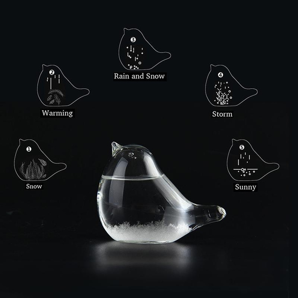 Creative Bird Shaped Storm Glass Desktop Weather Forecast Bottle Home Ornament