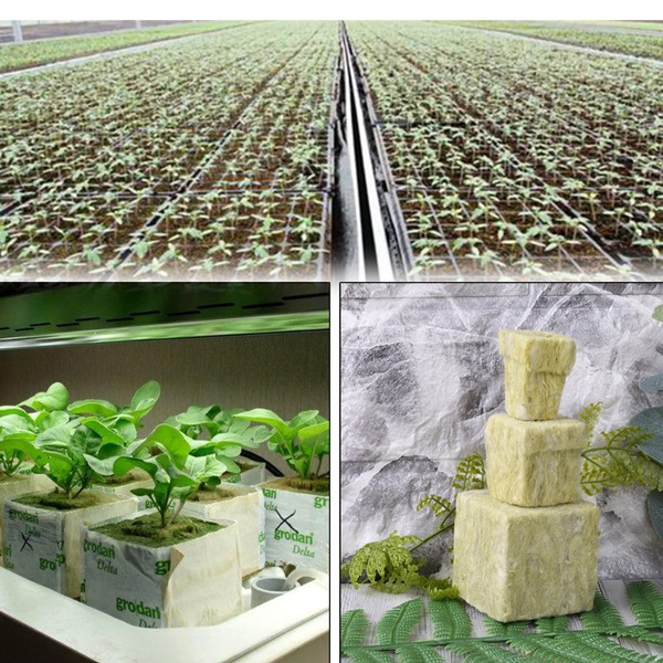 Rockwool Cube Hydroponic Grow Media Soilless Cultivation Planting Compress Base 
