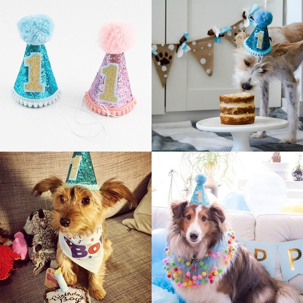 Dog first clearance birthday hat