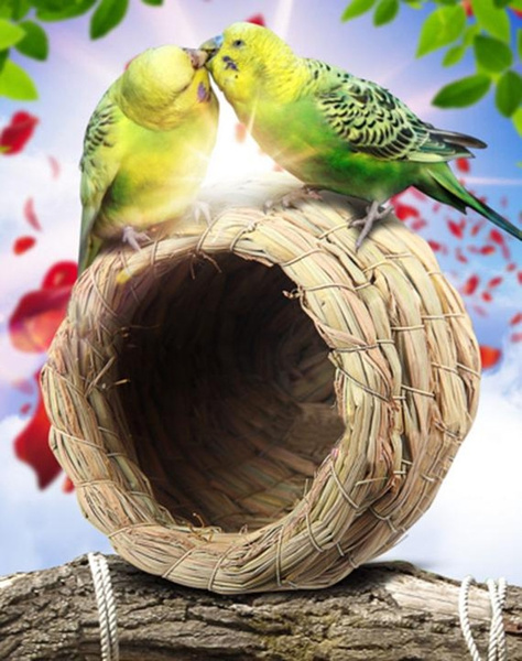 Handmade Pigeon Breeding Nest Bird Natural Straw Weave Budgie Canary Box 