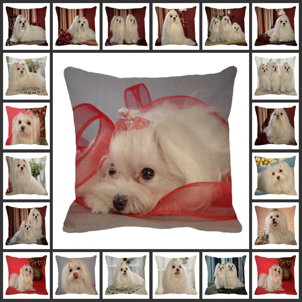 maltese pillow