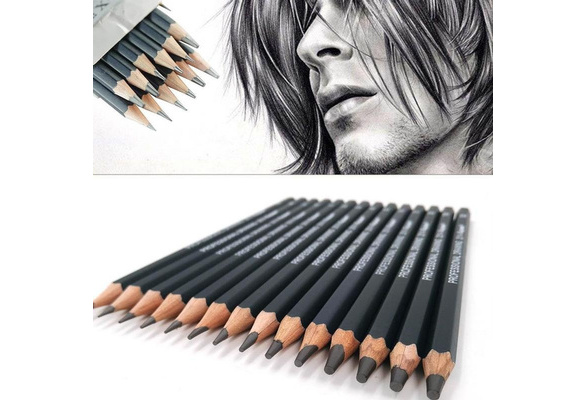 14pcs/set Graphite Sketching Pencils Professional Pencil Set for Drawing  (12B 10B 8B 7B 6B 5B 4B 3B 2B B HB 2H 4H 6H )