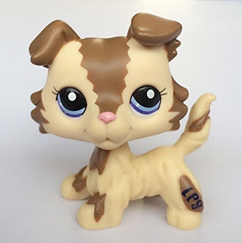 wish littlest pet shop