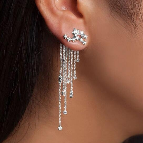 Wish deals tassel earrings