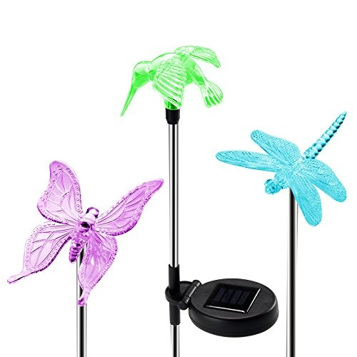 Oxyled Solar Garden Lights 3 Pack Stake Light Hummingbird Erfly Dragonfly Powered Pathway Multi Color Changing Led Outdoor Lighting For Patio Lawn Wish - Solar Powered Hummingbird Garden Stake Oxyled Solar Garden Lights 3 Pack Stake Light Hummingbird Erfly Dragonfly Powered Pathway Multi Color Changing Led Outdoor Lighting For Patio Lawn Wish - Solar Powered Hummingbird Garden Stake