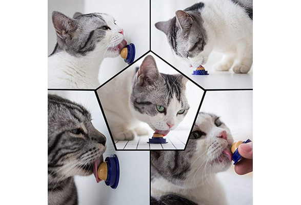 cat treat sugar ball