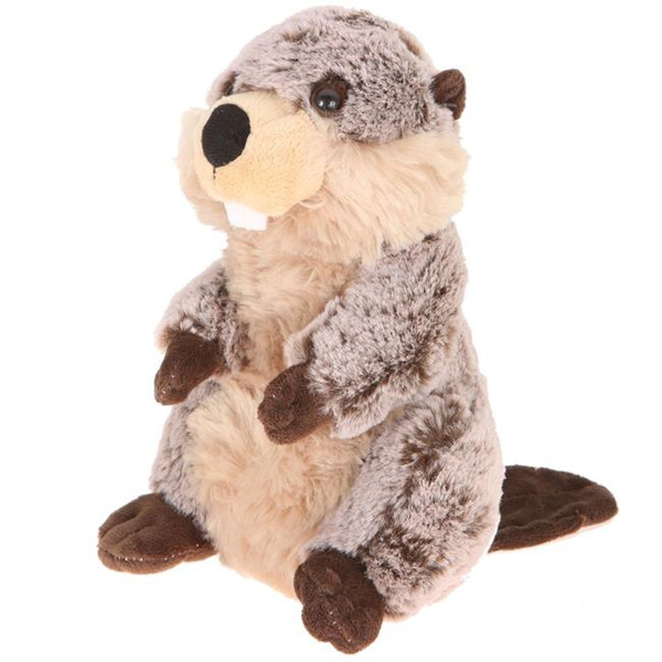 wish plush