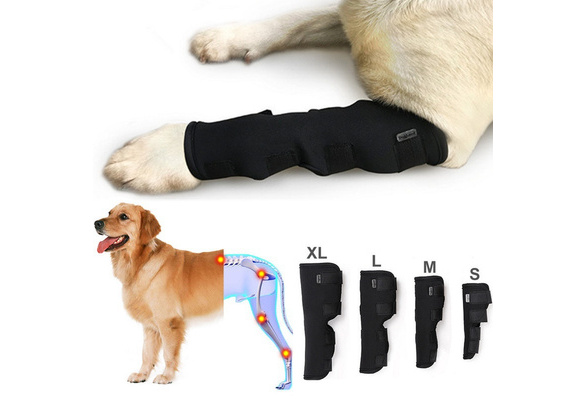 dog shoulder brace for arthritis