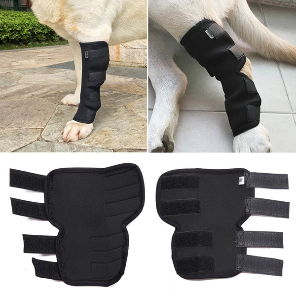 dog knee pads