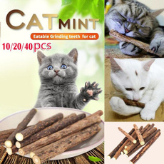 cattoy, catchewstick, cattreat, Pets