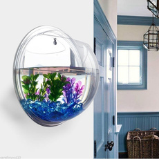 Plants, Tank, hangingfishbowl, wallmountfishbowl