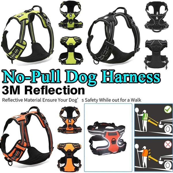 truelove front range